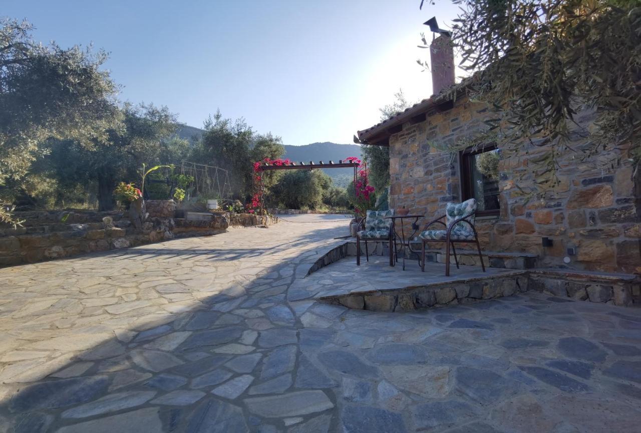 Elaion Thea2-Nies Villa Sourpi Buitenkant foto