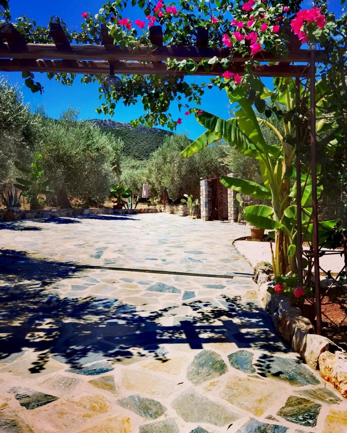 Elaion Thea2-Nies Villa Sourpi Buitenkant foto