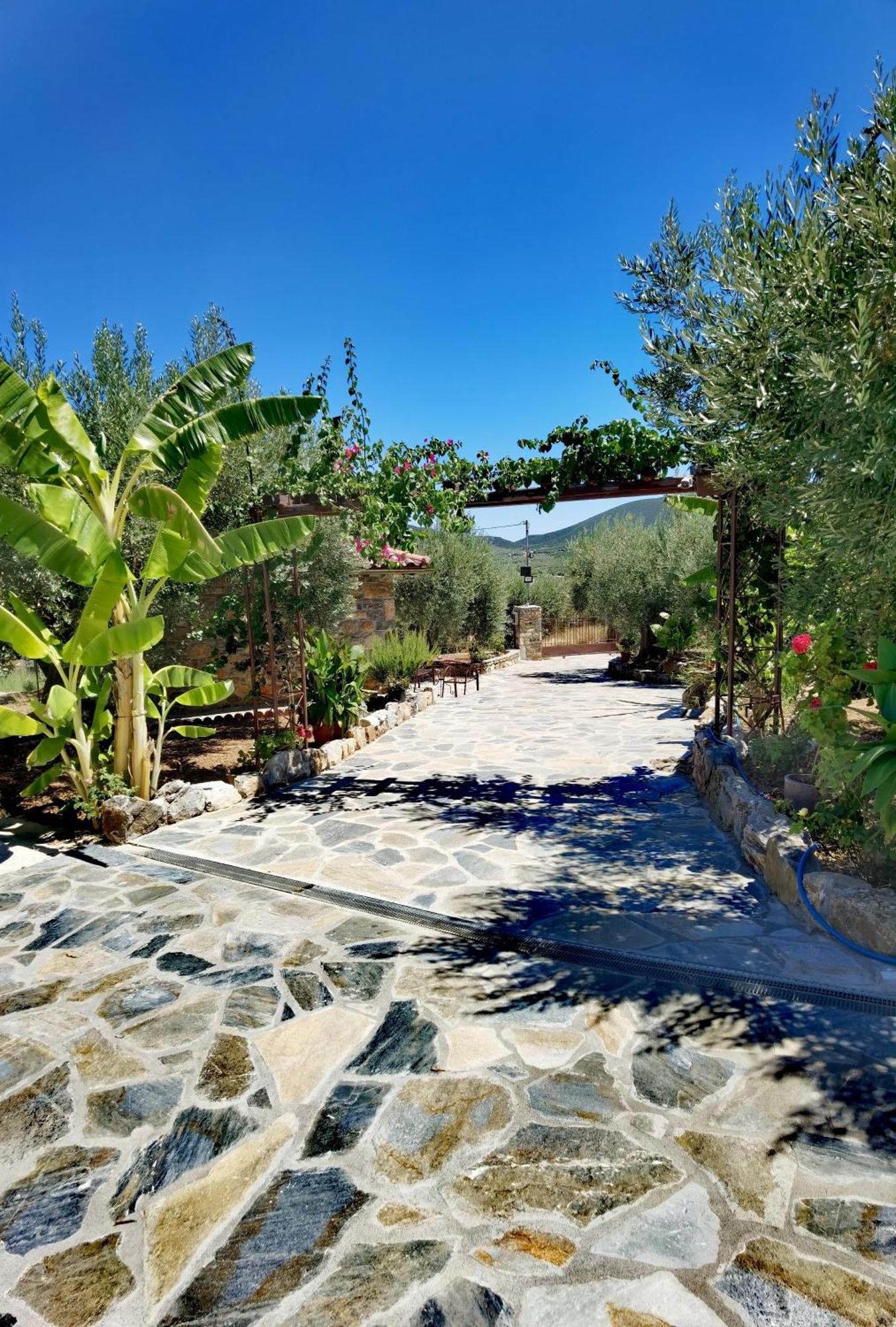 Elaion Thea2-Nies Villa Sourpi Buitenkant foto